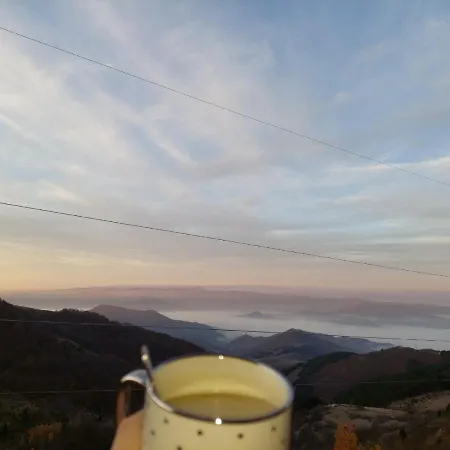 Sunset Milmari M10 *