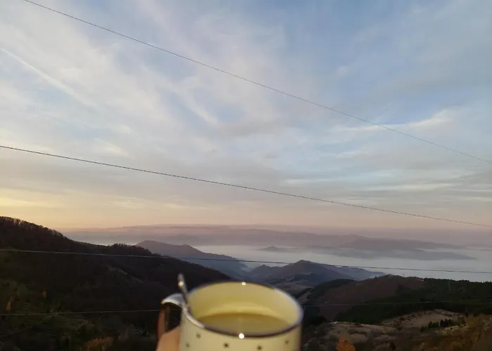 Sunset Milmari M10 *