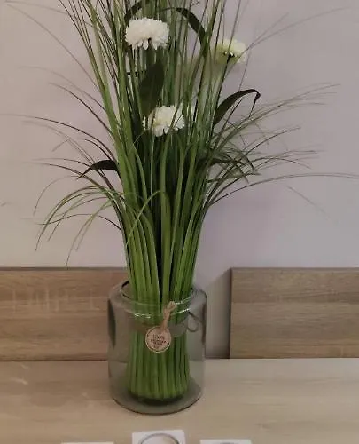 아파트 Sunset Milmari M10